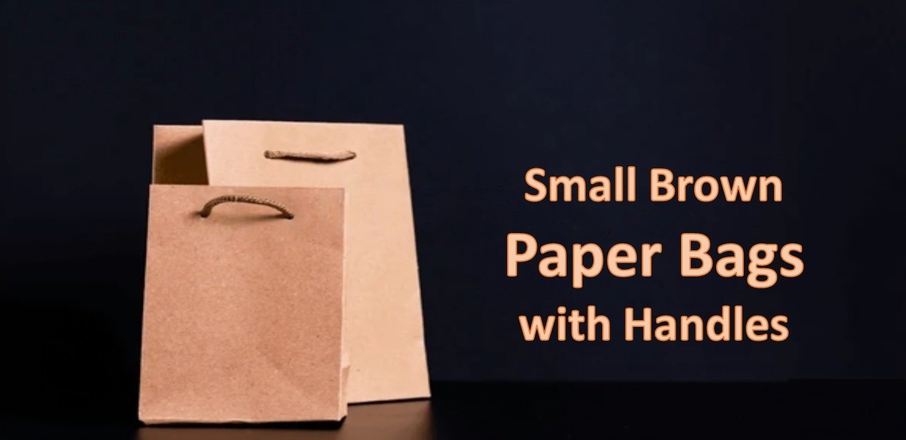 small-brown-paper-bags-with-handles