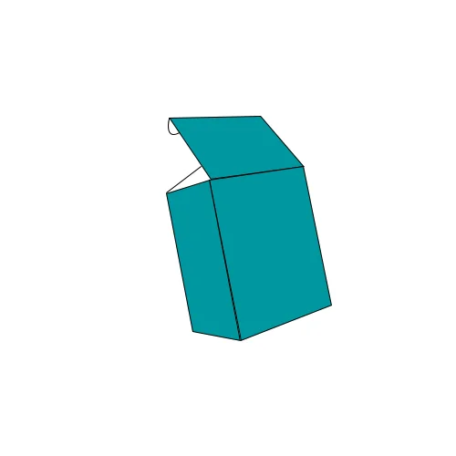 Tuck With Bellow Dust Flap Lock